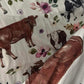 SHEET SET -SPRING CATCH