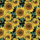 SUNFLOWERS- SHORT SLEEVE HOODED JACKET